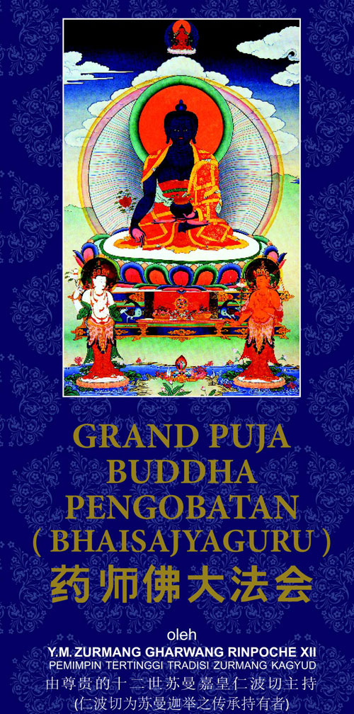 gp-medicine-buddha