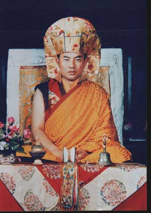 Zaptang Rinpoche